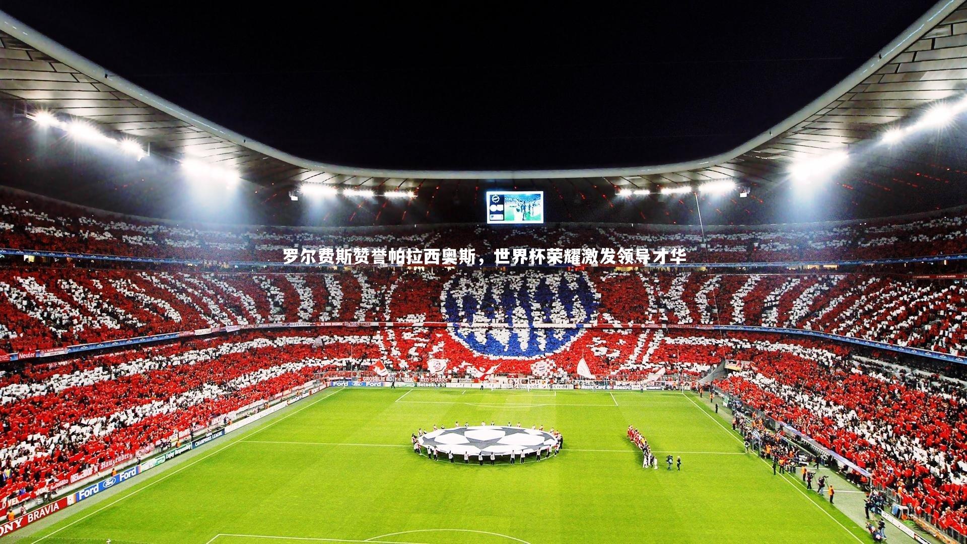 罗尔费斯赞誉帕拉西奥斯，世界杯荣耀激发领导才华